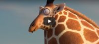 Woensdag 7 juni Filmpje: Ronde giraf
