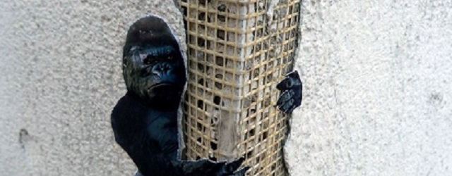 Vrijdag 3 april Plaatje: Straatkunst King Kong