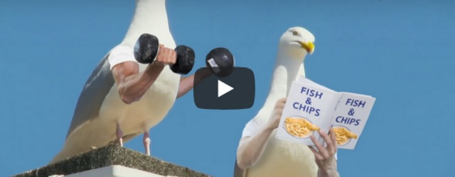 Dinsdag 20 juli Filmpje: Vogels met armen