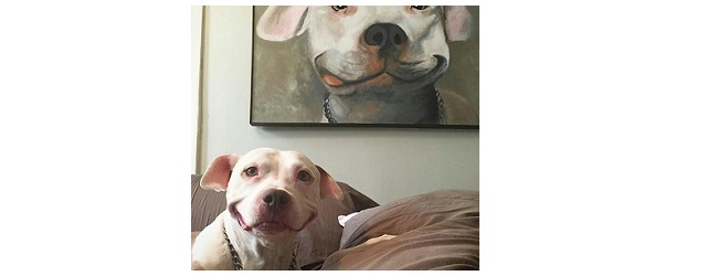 Zondag 16 juli Plaatje: Goed geschilderde hond