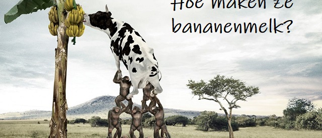 Dinsdag 19 juli Plaatje: Hoe maken ze bananenmelk?