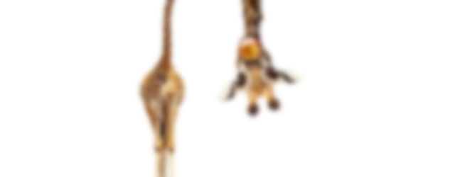 Woensdag 21 december Plaatje: Te lange giraf