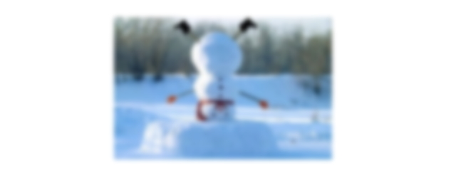 Woensdag 11 januari Plaatje: Op-kop-sneeuwpop