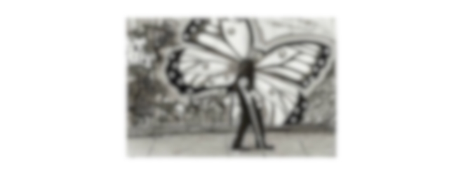 Vrijdag 24 maart Plaatje: Opa vlinder